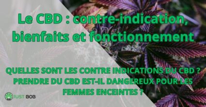 Le CBD : contre-indication