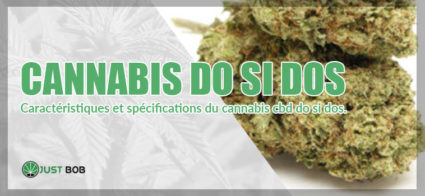 cannabis do si dos