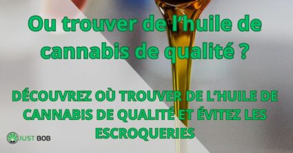 Ou trouver de l'huile de cannabis de qualité ?