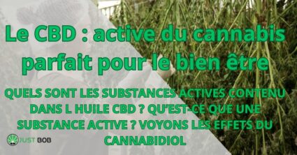 Le CBD : active du cannabis parfait pour le bien être