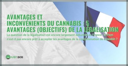 Avantages et inconvénients du cannabis