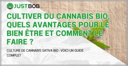 Cultiver du cannabis bio