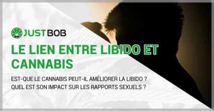 Le lien entre libido et cannabis