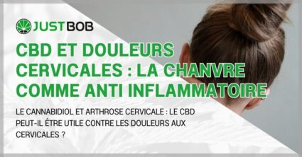 CBD et douleurs cervicales : la chanvre comme anti inflammatoire