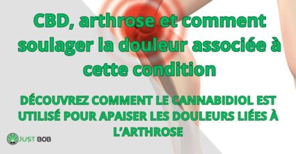 CBD, arthrose et comment soulager la douleur associée à cette condition