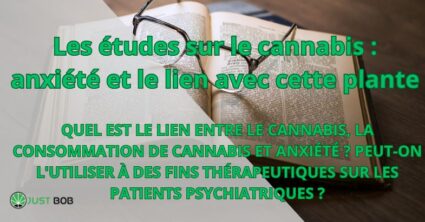 Les études sur le cannabis et l' anxiété