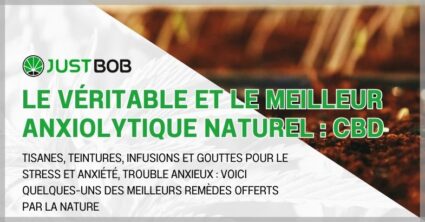 Le véritable et le meilleur anxiolytique naturel : CBD