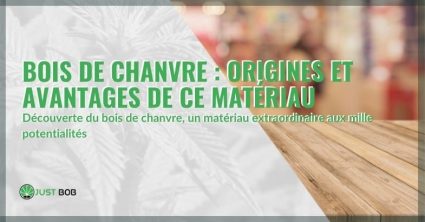 Origines et avantages du bois de chanvre