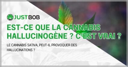 Est-ce que la cannabis hallucinogène ?