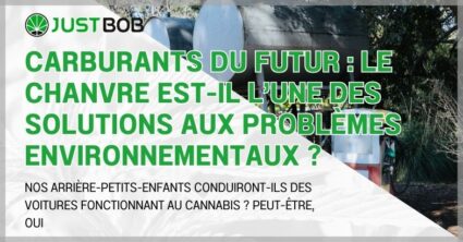 Carburants du futur : le chanvre