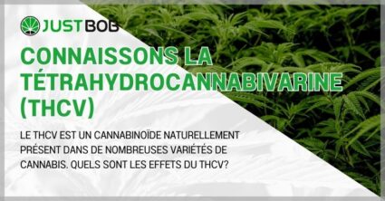 Connaissons la tétrahydrocannabivarine (THCV)