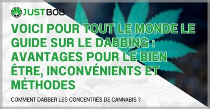 Voici pour tout le monde le guide sur le dabbing