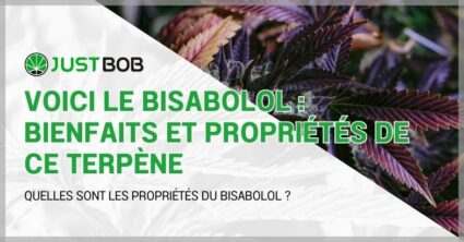 bisabolol : bienfaits et propriétés