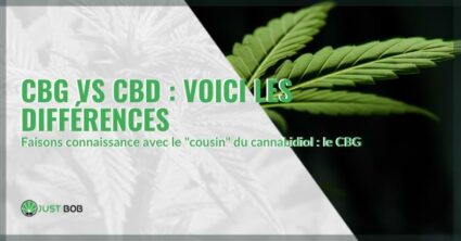 cbg vs cbd | Justbob