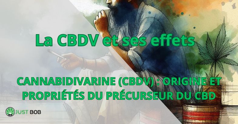 La CBDV et ses effets