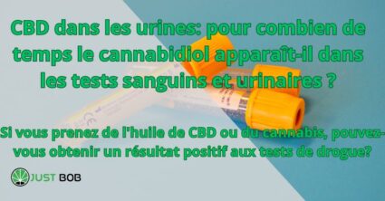 CBD dans les urines