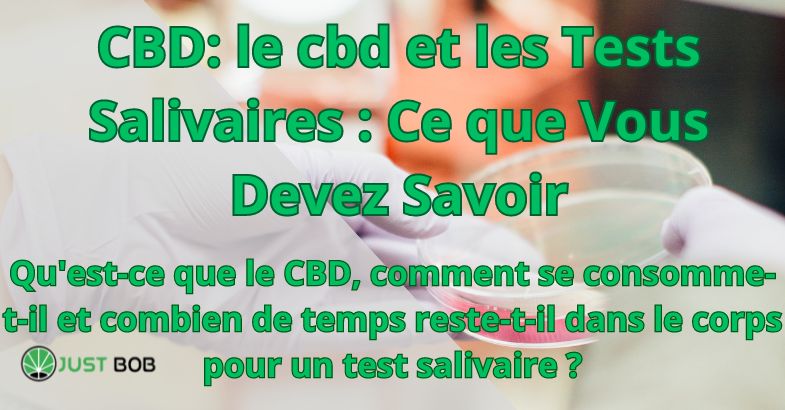 Comment fonctionne un test salivaire THC Cannabis ?
