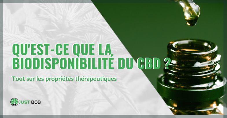 Qu'est-ce que la biodisponibilité du CBD | Just bob