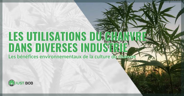 Les utilisations du chanvre dans diverses industrie | Justbob