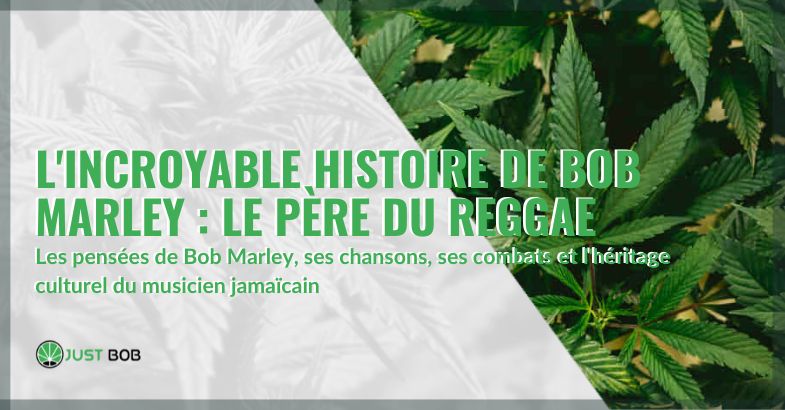 L'incroyable histoire de Bob Marley : le père du reggae | Justbob