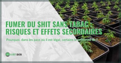 Fumer du shit sans tabac : risques et effets secondaires | Justbob