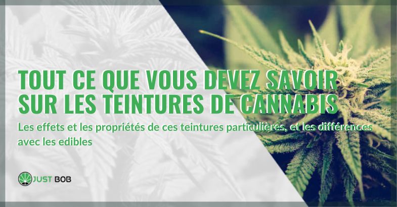 Tout ce que vous devez savoir sur les teintures de cannabis | Justbob