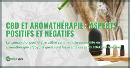 CBD et aromathérapie : aspects positifs et négatifs | Justbob