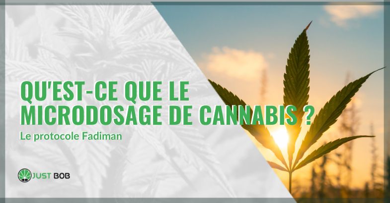 Qu'est-ce que le microdosage de cannabis | just bob