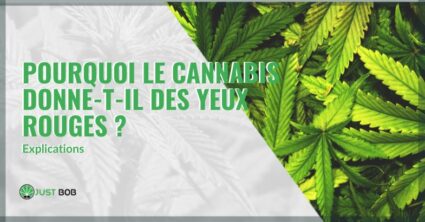 Porquoi le cannabis donne t il des yeux rouge explications | just bob