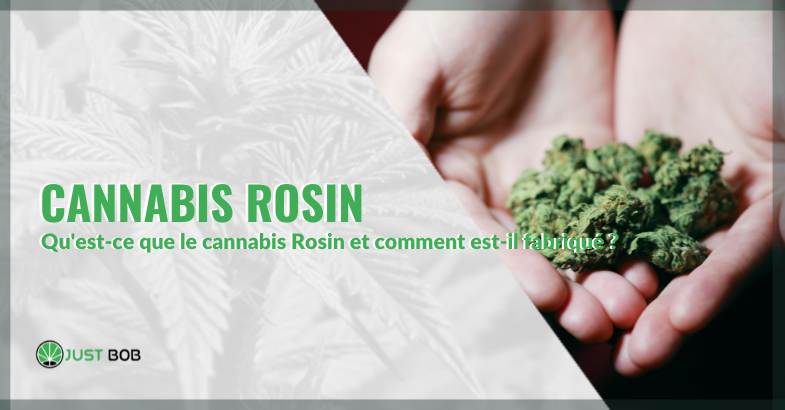 Rosin Cannabis