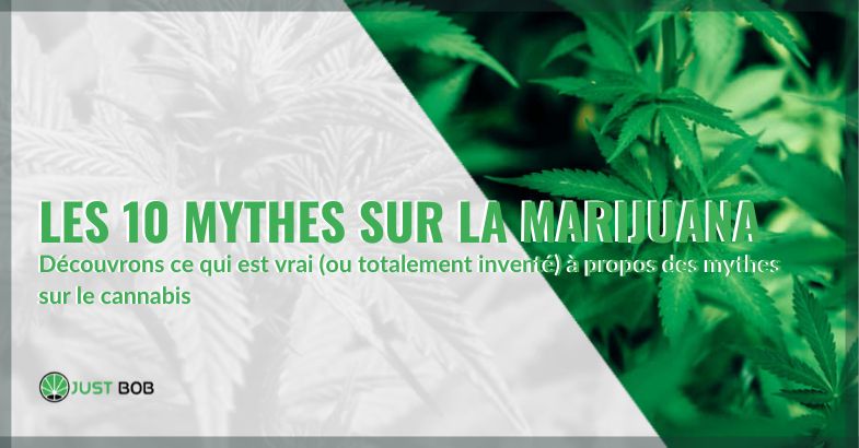 Les 10 mythes sur la marijuana : démystifier les fausses croyances | Justbob