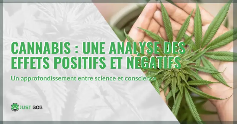 Cannabis : une analyse des effets positifs et négatifs sur la santé | Justbob