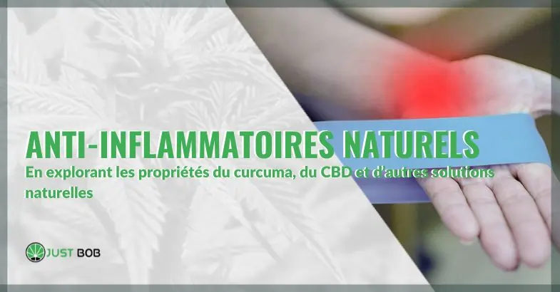 Index de l'Article : Les Puissants Anti-Inflammatoires Naturels : Un Guide Complet | Justbob