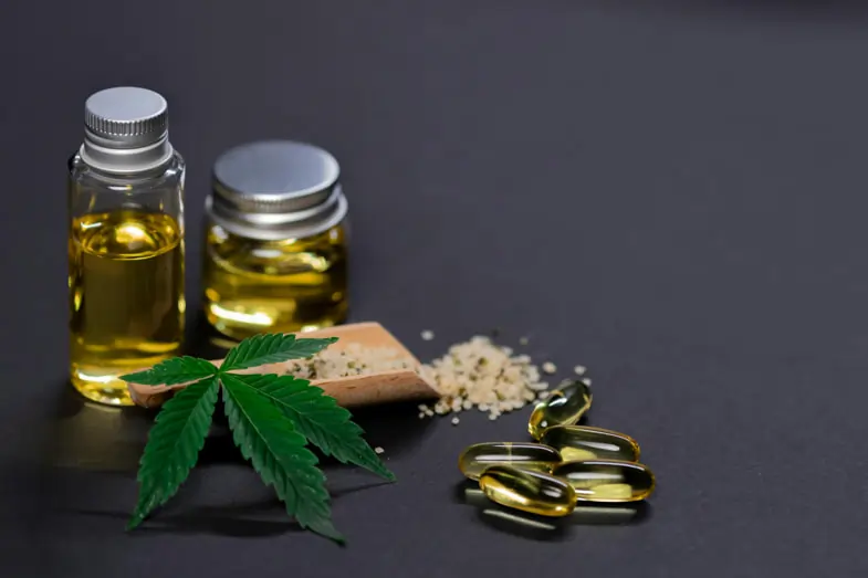 CBD sous toutes ses formes, gélules, feuilles, huiles et teintures | Justbob