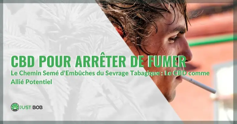 CBD pour Arrêter de Fumer : Un Aide Naturelle & Efficace? | Justbob