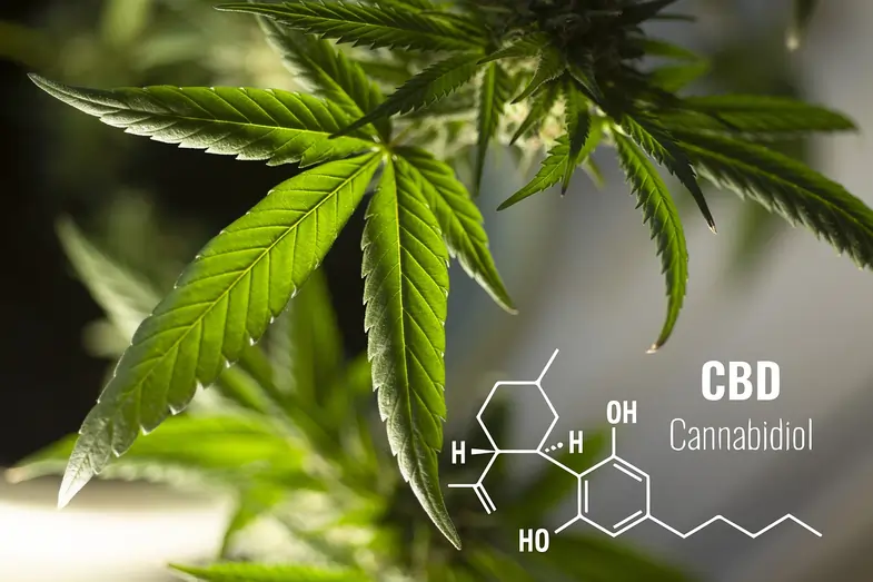 Image du cannabis avec la formule du cannabidiol | Justbob